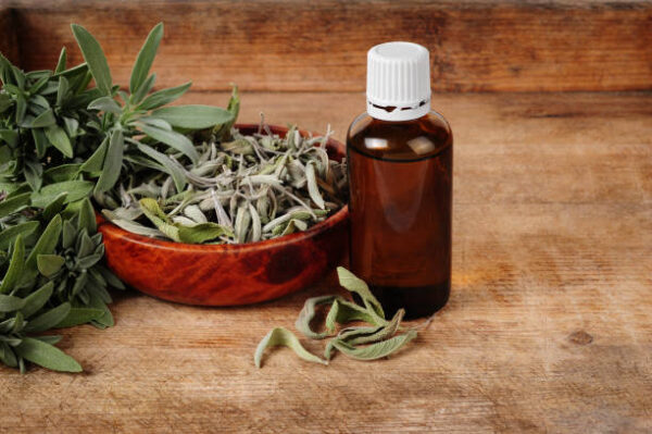 Glass bottle with sage oil, dried and fresh sage over wooden background