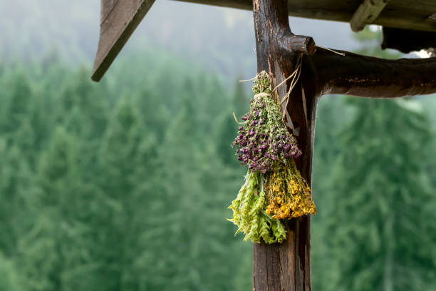 Istockphoto 1340266841 612x612