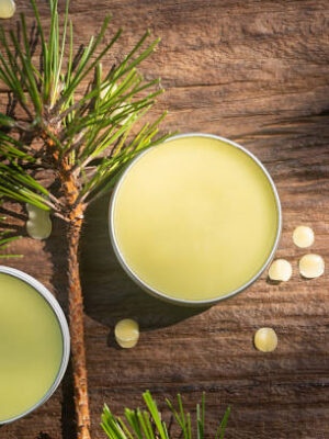 Homemade pine needles salve balm on wooden background with pine stick.