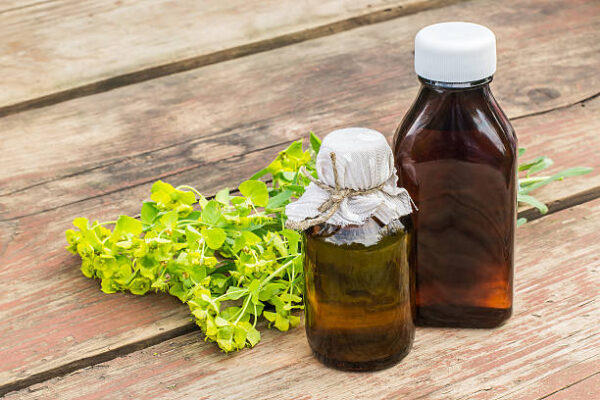 Istockphoto 587525262 612x612